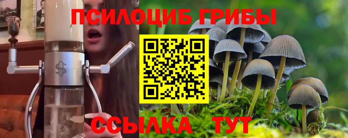 Меф   Кировск  COCAIN  ГАШ  Вход с VPN  Каннабис  МДМА 